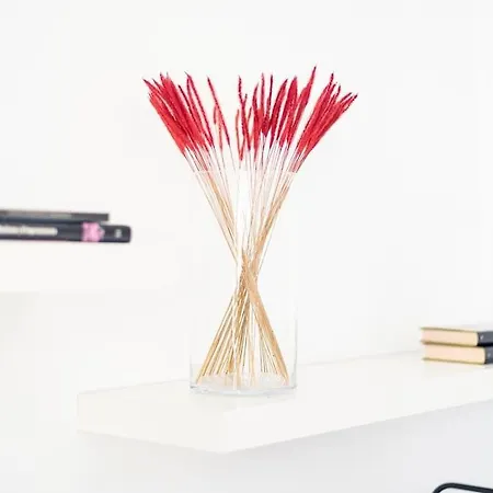 Callao San Amaro Apartment Ferrol